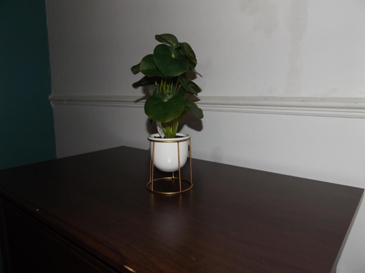 Coventry Rooms Homestay *
